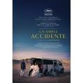 UN SIMPLE ACCIDENTE