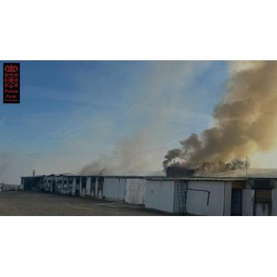El incendio de una granja en Villafranca deja 10.000 pollos muertos