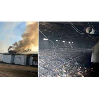 Mueren 10.000 pollos en el incendio de una granja avícola en Villafranca