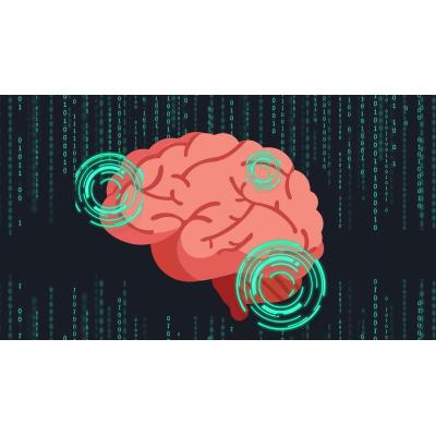 La Neurobiología responde a por qué algunos cerebros no pueden superar una pérdida