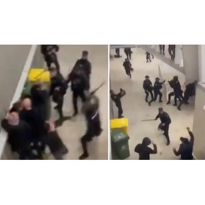 Osasuna convoca el miércoles una junta directiva extraordinaria para tratar las cargas policiales del sábado