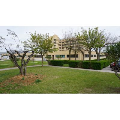Una médica denuncia una agresión sexual en el Hospital Reina Sofía de Tudela y acusa al centro de archivar el caso