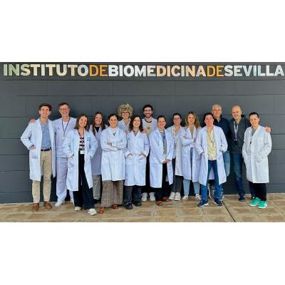 Identifican un mecanismo que impulsa la progresión del Tumor Fibroso Solitario y abre posibles nuevas terapias