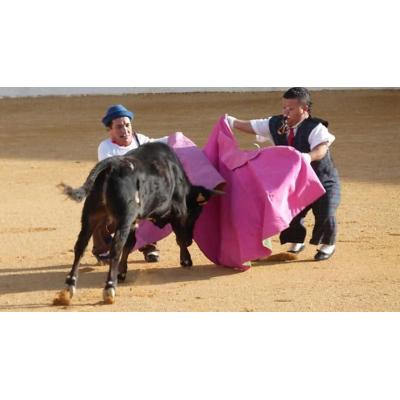 El Gobierno español reforma el Reglamento de Espectáculos Taurinos para blindar el veto al bombero-torero