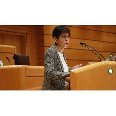 El PNV reclama en el Senado que el Estado asuma su “responsabilidad directa” en los crímenes del 3 de marzo
