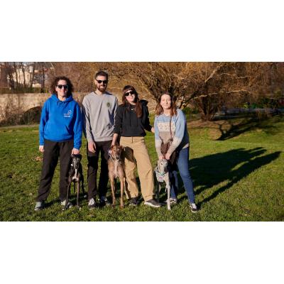 Aria, Ray y Leia, los galgos que han encontrado familia en Navarra con Galgo Leku: "Me ha cambiado la vida"
