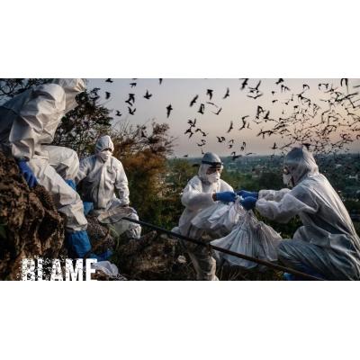 'Blame' gana la 7ª edición de #LabMeCrazy! Science Film Festival de la UN