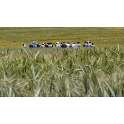 Convocatoria de ayudas de 5,5 millones para la incorporación de jóvenes al sector primario