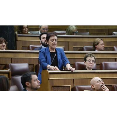 EH Bildu exige a Sánchez que «desclasifique la impunidad» del 3 de marzo, Sanfermines del 78, el caso Zabalza, Naparra y los GAL