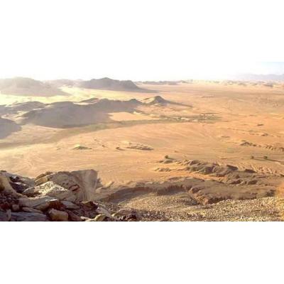 50 años del Sahara libre
