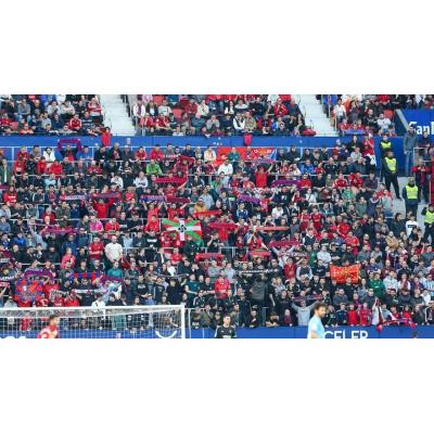 APF reclama que la Policía Foral asuma el orden público en los partidos de El Sadar