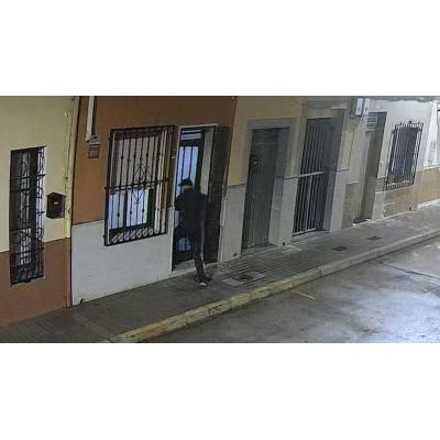 Un perro evita el secuestro de una mujer en Valencia al morder a uno de los atacantes
