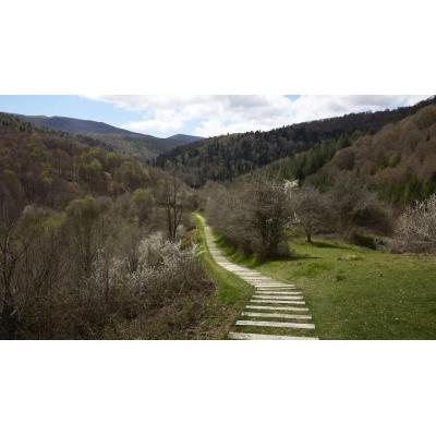 Viajar invita a perderse en la magia de Navarra: "uno de los hayedos más grandes y mejor conservados de Europa"