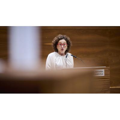 Maeztu se niega a dar el coste de los menas en Navarra: "No se puede dar una cifra media"