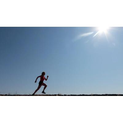 Especialistas de la Clínica Universidad de Navarra destacan la vitamina D como nutriente clave para la salud