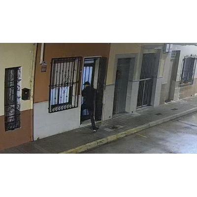 Un perro evita el secuestro de una mujer en Polinyà del Xúquer (Valencia) al morder a uno de los atacantes