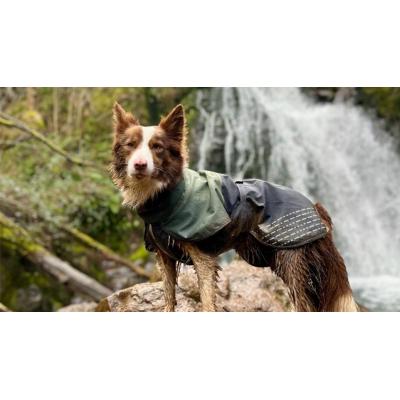 Las 12 rutas con perro que recomienda la revista Conocer Navarra