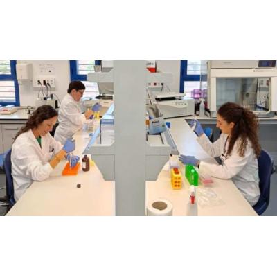 Desarrollan un método para personalizar la inmunoterapia en el cáncer de pulmón