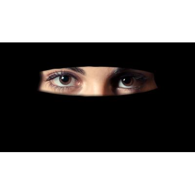 La ofensiva de Vox en el Parlamento de Navarra para prohibir el burka: "Erradica la identidad de la mujer"