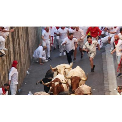 La Palmosilla desvela a su tercer toro confirmado para San Fermín
