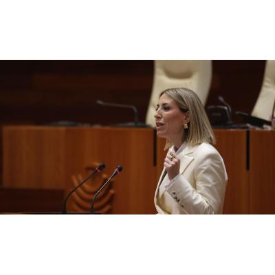 Los votos en contra de Vox, PSOE y Unidas por Extremadura tumban la investidura de María Guardiola