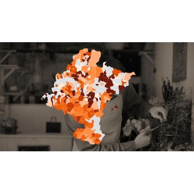 Cuatro de cada diez locales comerciales no tienen empleados: consulta los datos municipio a municipio