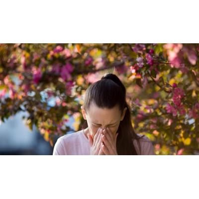 Un experto avisa de que un invierno de lluvias récord anticipa una primavera de mayor riesgo para los alérgicos