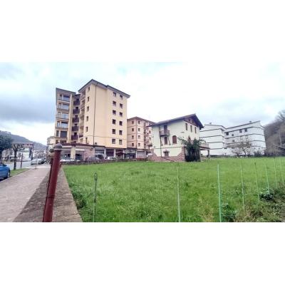 El Ayuntamiento de Baztan paraliza la subasta de un terreno