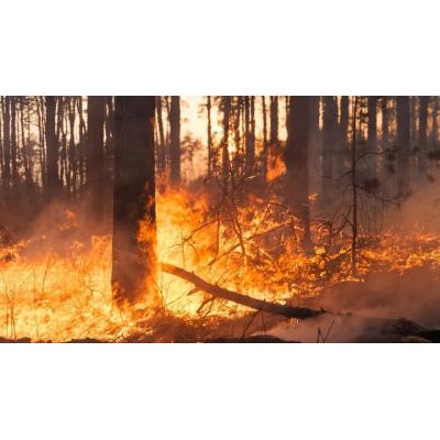 Investigan a un vecino de Teixeiro (Coruña) como presunto autor de 10 delitos de incendio forestal