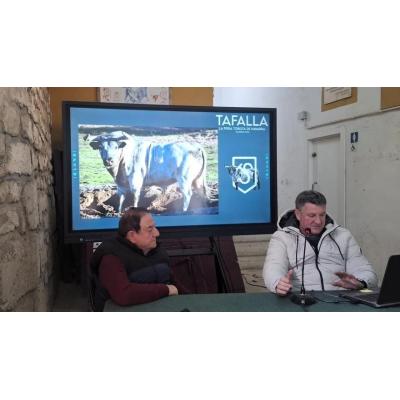 Los hierros de Valdellán, Sobral y Couto de Fornillos lidiarán en Tafalla los días 15, 16 y 17 de agosto