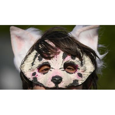 El fenómeno viral de los ‘therians’, ¿preocupación real o cortina de humo?