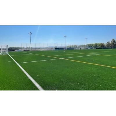 Fútbol: protecciones en los terrenos de juego