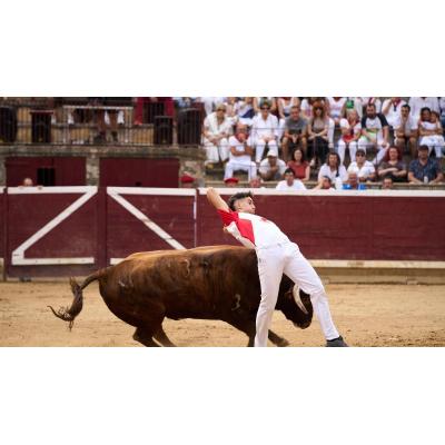 La feria taurina de Tafalla contará con tres corridas, una novillada y un concurso de recortes