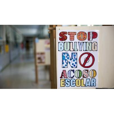 Bullying a gran escala