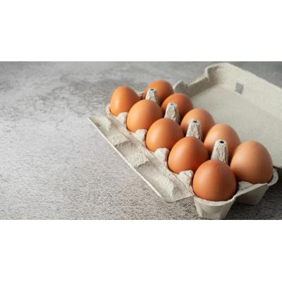 Adiós a lavar los huevos antes de guardarlos: una práctica común pero también perjudicial, según una experta
