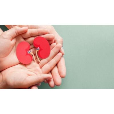 Más de 2.300 pacientes de Navarra con enfermedad renal necesitan diálisis o un trasplante para poder vivir