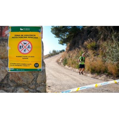 La peste porcina llega a Barcelona y obliga a cerrar su pulmón verde