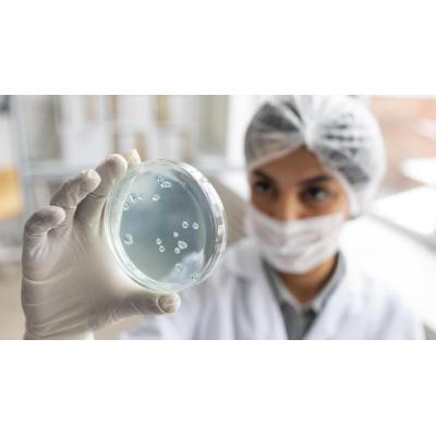 Identifican una bacteria en el intestino humano capaz de mejorar la fuerza muscular