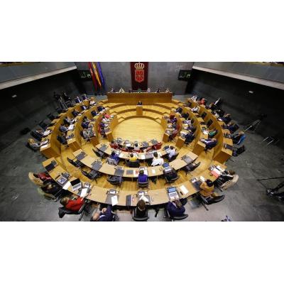 El PLENO EN DIRECTO | El PSN se carga el consenso de la Ley de Voluntariado apoyando una enmienda que posibilita el voluntariado a los terroristas
