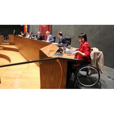 Aznal regresa al Parlamento de Navarra tras un mes de baja