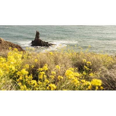 La primavera de 2026 será más cálida de lo normal