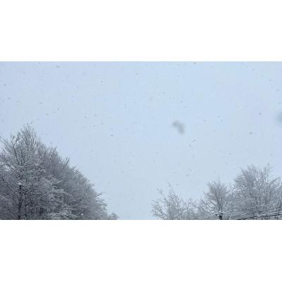 Fotos de la nevada caída este sábado en zonas del Norte de Navarra