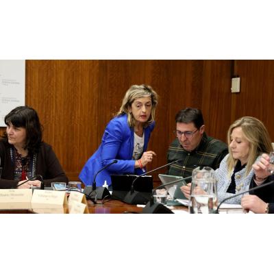 UPN defiende que las ausencias en el pleno de Estella no invalidan los acuerdos adoptados