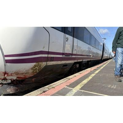 Un tren a Madrid atropella más de 100 ovejas entre Cortes y Gallur: "Frenó bruscamente y había muchos animales a ambos lados"
