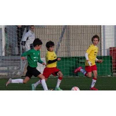 La Federación Navarra de Fútbol va a implementar el fútbol 7 en la categoría alevín