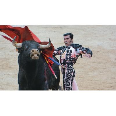 La temporada taurina en Navarra comienza el jueves en Fitero