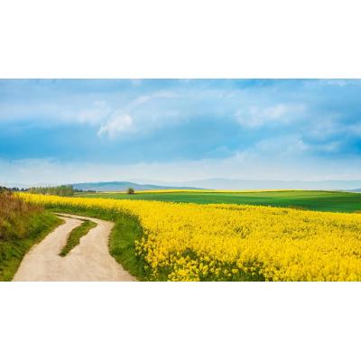 ¿Qué tiempo hará en primavera este 2026 en España?