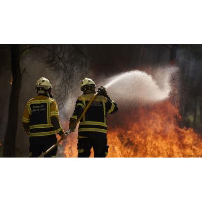 El pueblo de Navarra que plantará casi 34.000 árboles para rehacerse del dramático incendio de 2022