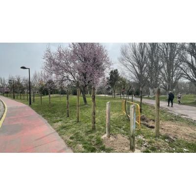 Lodosa ubicará el pipicán en un área junto a las pistas de atletismo