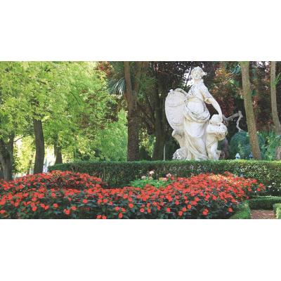 Pamplona ofrece dos plazas de trabajador para jardines